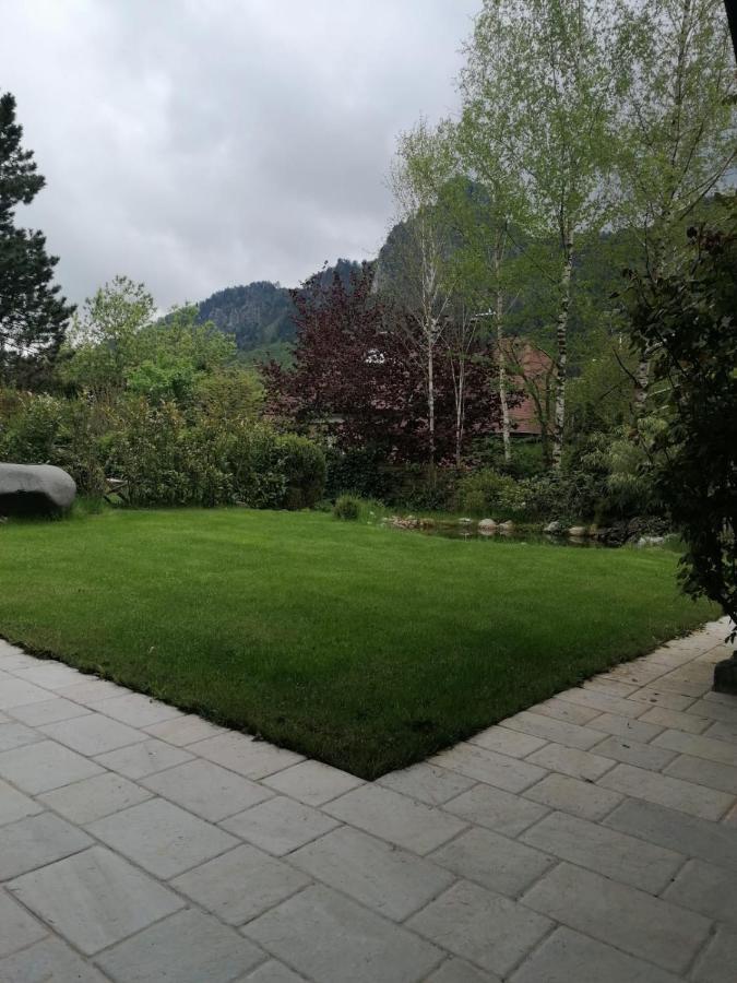 Appartment Nocksteinblick Guggenthal Екстер'єр фото