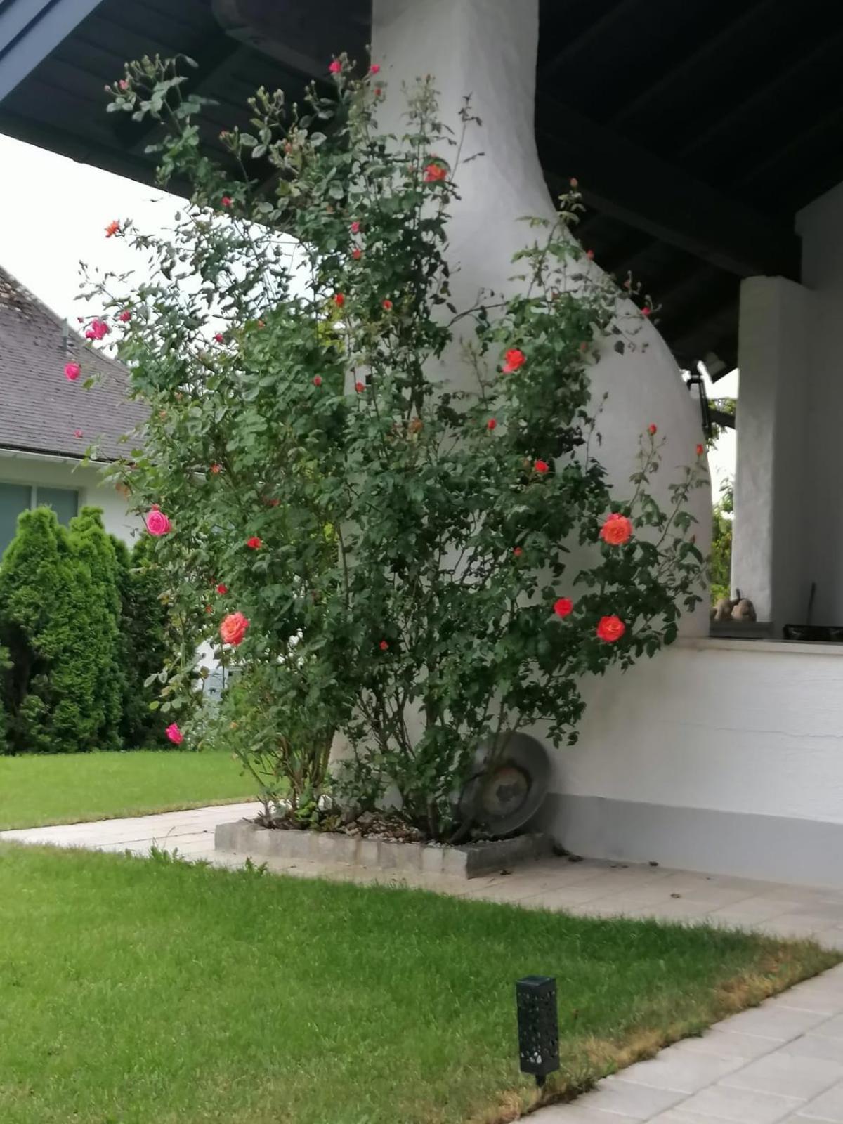 Appartment Nocksteinblick Guggenthal Екстер'єр фото